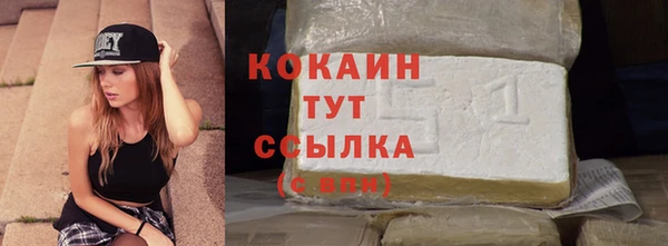СК Новозыбков