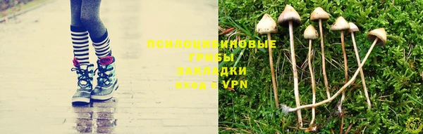 каннабис Магадан