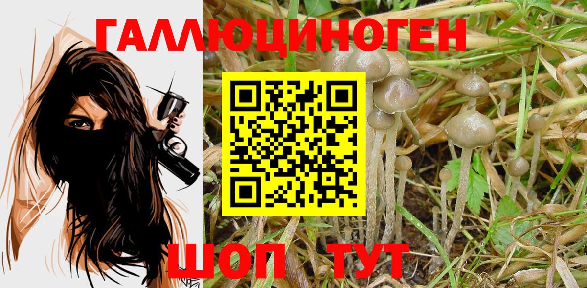 Псилоцибиновые грибы мухоморы Южно-Сахалинск