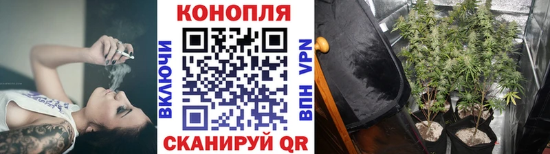 OMG зеркало  Южно-Сахалинск  Каннабис White Widow 